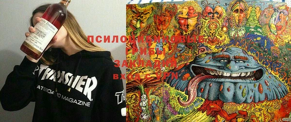 2c-b Алексин